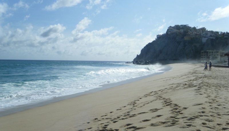 981881cece9233a36ee69390015d2c53