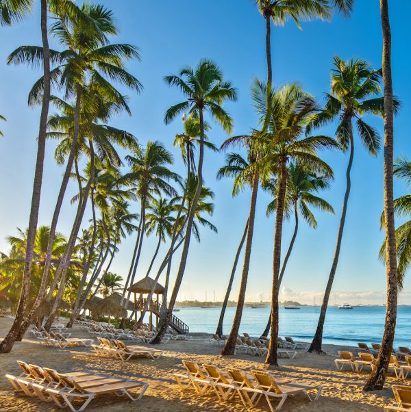 Image by http://c2a.studio