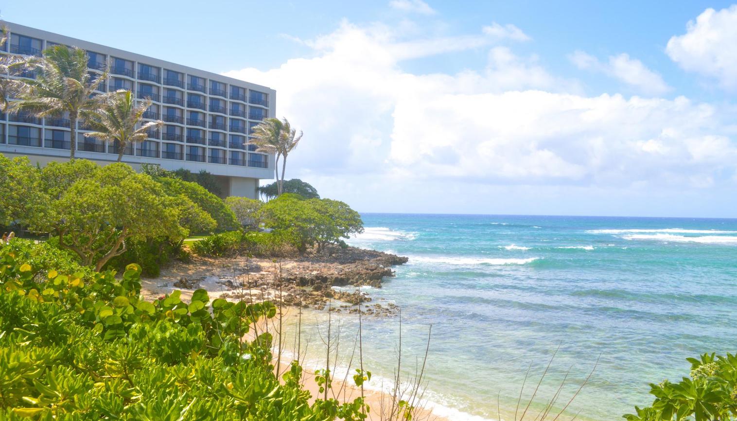 Turtle Bay Resort TravelZap