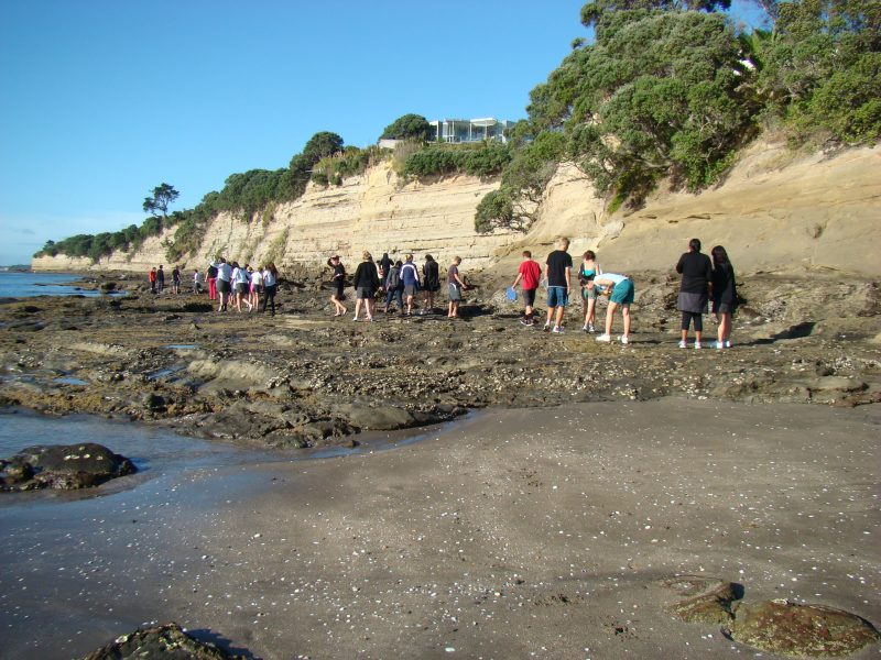 2Bio_Field_Trip_Waiake