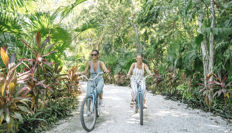 Lifestyle JPG WEB Images